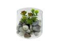 Mini Sukkulente künstlich Glas Tischdekoration Büro Deko Geschenk Ø 9cm 8cm H 1