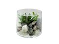 Mini Sukkulente künstlich Glas Tischdeko Kommunion Hochzeit Geburtstag Deko Ø 9cm 8cm H 1