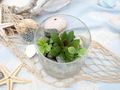 Kunstpflanze Sukkulente Glas Deko Badezimmer Küche Terrasse Wohnzimmer Balkon Schlafzimmer  5