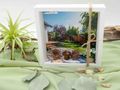 Geldgeschenk Verpackung Gutschein für Gartenprojekte – für Gartenmöbel Terrasse Gartenzaun Gartenpflanzen 3
