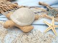 Creme Schildkröte Deko Maritim Sommer Tischdeko Terrasse Balkon Keramik 12,5cm lang 3