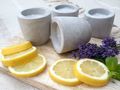 SET Anti Moskito Kerzen Outdoor Citronella Duftkerzen im Zementtopf 4 Stück 5
