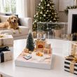 Geldgeschenk Verpackung Box Weihnachten LED Beleuchtung für Hundeliebhaber  2