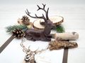 Rustikales Tischdeko-Set mit Hirsch - herbstliche Tischdeko mit Waldflair für Naturfreunde und Jäger 2