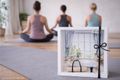 Geldgeschenk Verpackung Wellness Entspannung Massage Yoga Sport Meditieren Trinkflasche 5