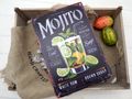 Deko Metallschild mit ein Glas Mojito mit Eis, umgeben von saftigen Limetten und Minze sowie Cocktailrezept 3