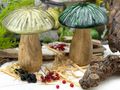 Herbst Pilz-Aufsteller aus Mangoholz mit lackierten Kappen in Grün & Oliv 2