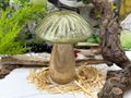 Holz-Pilz Aufsteller in Oliv Grün – Herbst- und Weihnachtsdeko 5