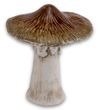 Deko Pilz Aufsteller Keramik Waldpilz Stehend Herbst Natur Braun Dekofigur zum Hinstellen 6