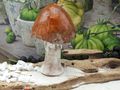 Deko Pilz Aufsteller Keramik mit glasiertem Schirm Herbst Natur Braun Dekofigur zum Hinstellen 11