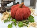 Deko Kürbis mit eine weiche, plüschige Textur in Rostrot für Herbst, Hochzeit, Halloween, Erntedank, Feiern, Events & Schaufensterdekoration 3
