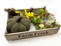 Deko Kürbis mit eine weiche, plüschige Textur in Grün für Herbst, Hochzeit, Halloween, Erntedank, Feiern, Events & Schaufensterdekoration 7