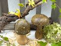 Pilz Holz Olive-Braun Mangoholz Deko Herbst Winter Weihanchten Tischdeko Basteln 4