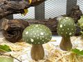 Deko Pilze mit Grüne Kappe aus Mangoholz -natürlich, stilvoll & handgefertig für Herbst & Weihnachten 3