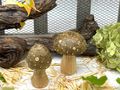 Pilz aus Mangoholz mit natürliche Maserung und Oliv-Braune Kappe für Zuhause, Hotels, Cafés oder zur festlichen Herbst- & Weihnachtsdeko 3