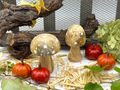Deko Pilze in natürlichen Holzoptik mit weißen Punkten - natürlich, stilvoll & handgefertig für Herbst & Weihnachten 2