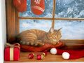 Deko Geschenkrahmen aus Holz mit Acrylglasscheibe – als Geldgeschenk- oder Gutscheinverpackung für Katzenliebhaber Weihnachten 6