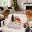 Geldgeschenk Verpackung Weihnachten mit LED und Miniatur Katzen, Baum, Kamin 2