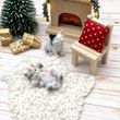 Geschenkidee – Geldgeschenk & Gutschein Verpackung Box für Katzenliebhaber 5