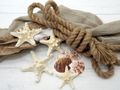 Echte Seesterne – 5 Stück – Getrocknet & gebleicht, charakteristischen Noppen auf der Oberfläche für eine maritime Dekoration 4