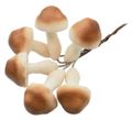 6 Pilze Kunstpilze am Draht – Herbst & Advent Deko zum Einstecken in Kränze, Gestecke & Blumentöpfe – Realistische Optik 3-5cm 1