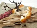 Deko Pilze - Naturgetreue Kunstpilze in täuschend echter Optik zum basteln und Dekorationen, 6 Stück 3