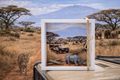 Geldgeschenk Afrika Geschenkidee Gutschein Verpackung Kenia Reise Urlaub Jagd Tiere mit Miniatur Nashorn  4