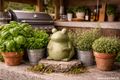 Deko Frosch sitzend aus Terracotta in Grün – Indoor Figur Gartenstil Tischdeko Balkon Terrasse 15cm H 4