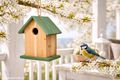 Vogelhaus Natur aus Holz mit grünem Dach und Boden- Vogelhäuschen zum Aufhängen in Garten, Baum, für Balkon und Veranda 7