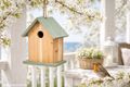 Vogelhaus Natur aus Holz mit hell grünem Dach und Boden- Vogelhäuschen zum Aufhängen in Garten, Baum, für Balkon und Veranda 4
