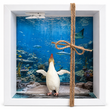 Geldgeschenk Verpackung Aquarium Zoo Tierpark Geschenk Geburtstag Weihnachten 1
