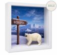 Geschenkrahmen Holz Bilderrahmen Geldgeschenk Eisbär Nordpol Arktis 1