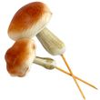 Pilz Deko Stecker Schaumstoff Braun Herbst Basteln 2 Stück 5-6cm 1