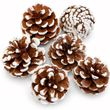 6 Zapfen Tannenzapfen mit weißen Spitzen, 5-7 cm Basteln Weihnachten 1
