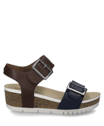Quinn 02, ocean-camel