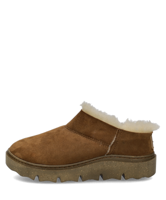 Carmaux 11, camel