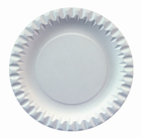 100 Pappteller 15 cm