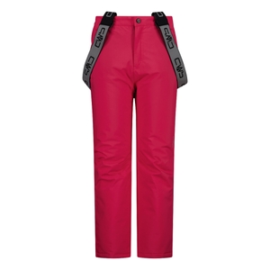-C839 carminio