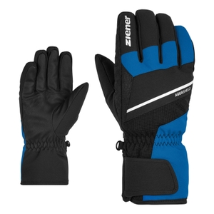 -798 persian blue