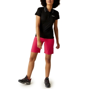 Regatta Damen Kurzarmshirt Shirt Poloshirt Maverick V - Bild 3 Regatta Damen Kurzarmshirt Shirt Poloshirt Maverick V - Bild 3