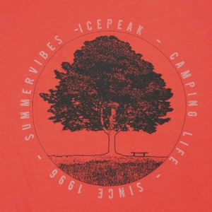 Icepeak Mädchen Shirt Oberteil T-Shirt Leadore Jr - Bild 5 Icepeak Mädchen Shirt Oberteil T-Shirt Leadore Jr - Bild 5