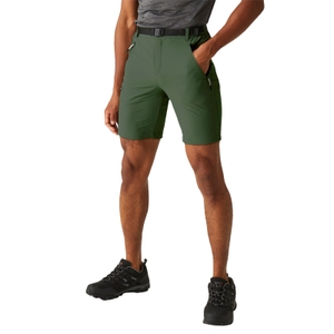 Regatta Herren Shorts Funktionshose Wanderhose Outdoorhose Xert StrShort III - Bild 4 Regatta Herren Shorts Funktionshose Wanderhose Outdoorhose Xert StrShort III - Bild 4