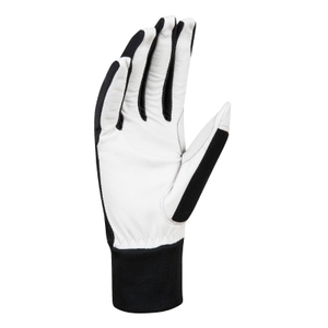 Daehlie Herren Damen Unisex Langlaufhandschuhe Skihandschuhe Glove Race Leather - Bild 1 Daehlie Herren Damen Unisex Langlaufhandschuhe Skihandschuhe Glove Race Leather - Bild 1