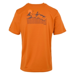 Regatta Herren T-Shirt Kurzarmshirt Funktionsshirt Fingal IX T-Shirt - Bild 2 Regatta Herren T-Shirt Kurzarmshirt Funktionsshirt Fingal IX T-Shirt - Bild 2