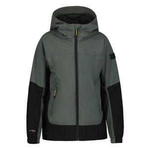 -585 dark olive
