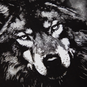ONE STRANGE ROCK Herren Shirt Kurzarmshirt T-Shirt Crew Neck Wolf - Bild 6