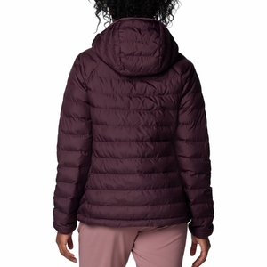 Columbia Damen Jacke Steppjacke Powder Lite™ II Hooded Jacket - Bild 3