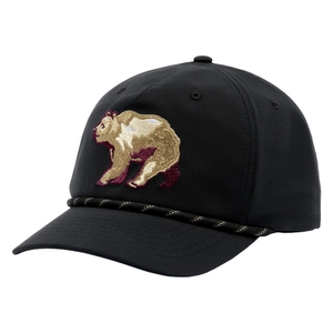 -010 black bear