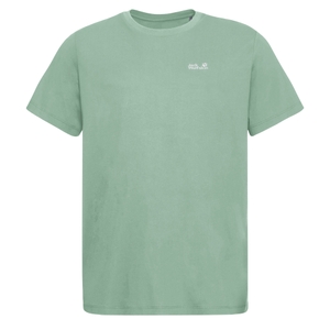 -E0272 green zinnia