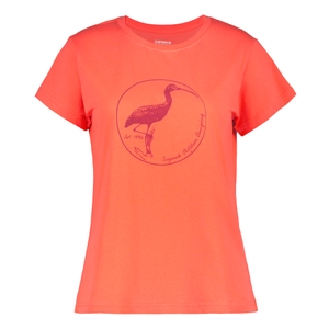 -451 orange